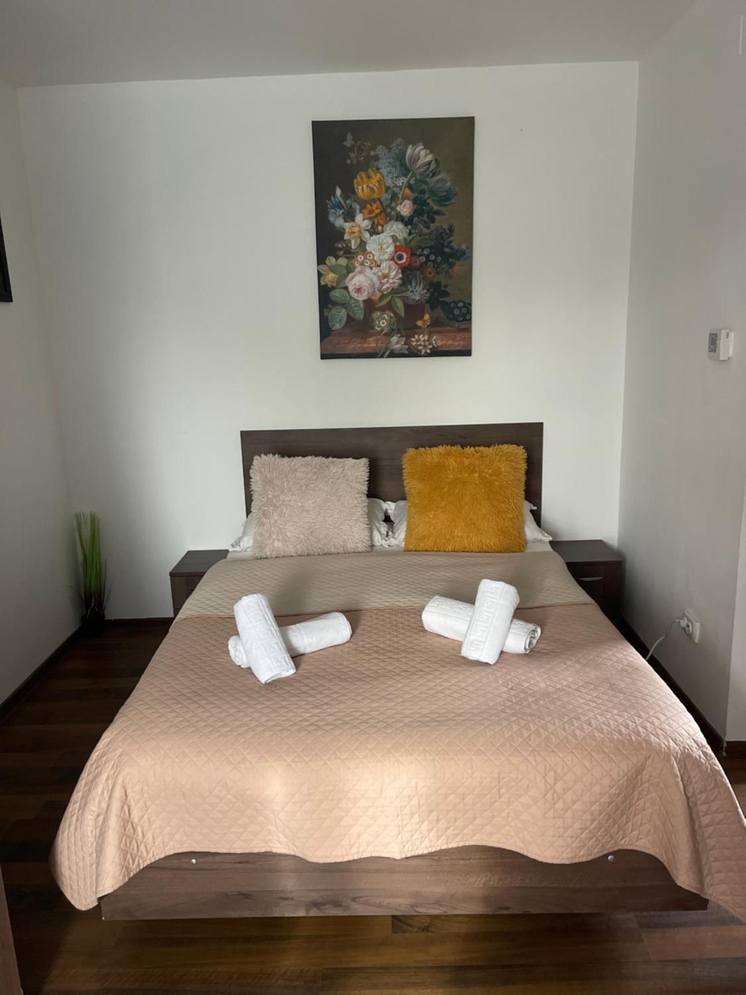 Apartmán Orange House Temešvár Exteriér fotografie